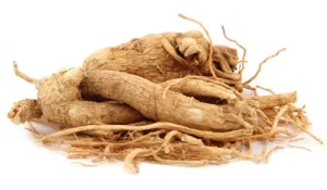 Ginseng1